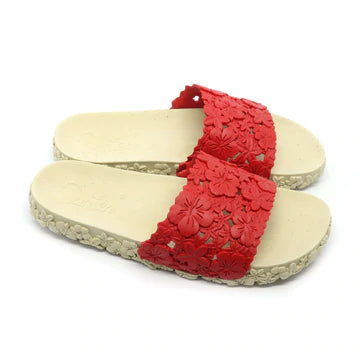 Sunies Slide Hawaii Red